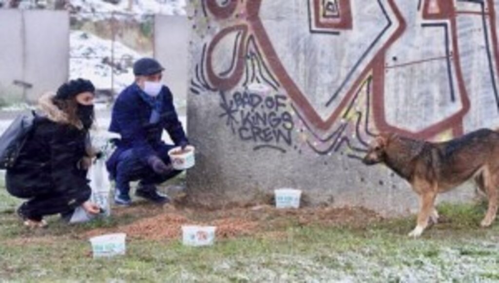 Karlı Günlerde Sokak Hayvanları Unutulmadı