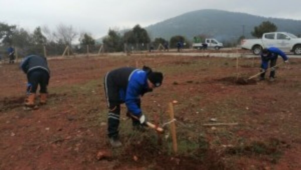 Muğla Büyükşehir’den “Hortikültürel Terapi”
