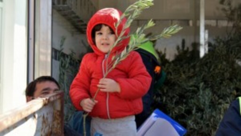 Aliağa Belediyesi’nin Zeytin Fidanı Dağıtımları Sürüyor.