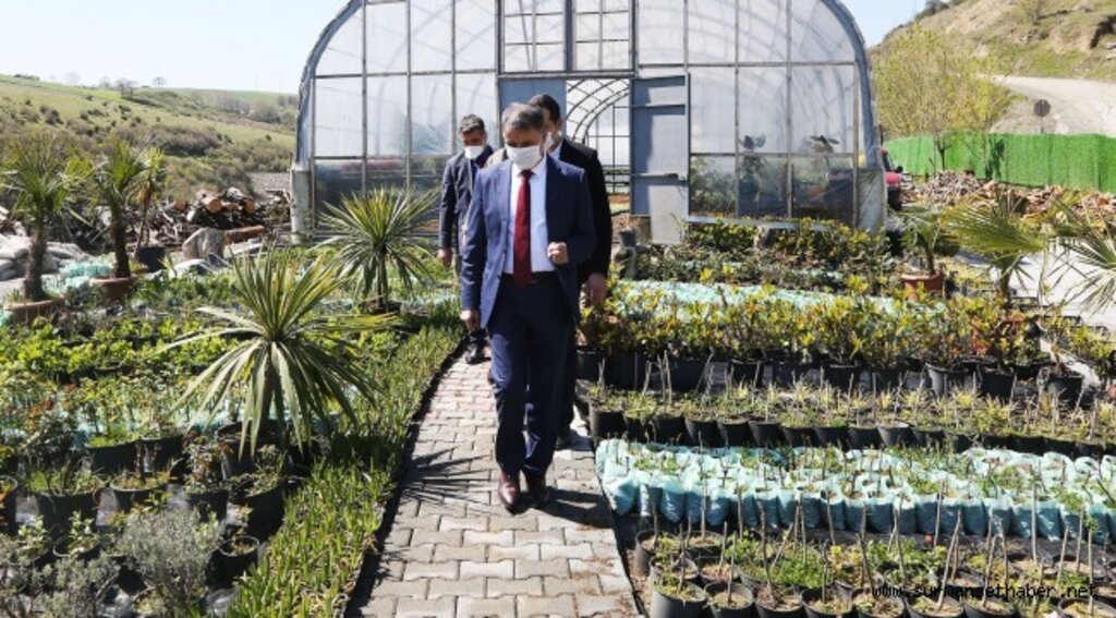 Atakum Belediyesi 2020’de kendi serasında 200 bin adet mevsimlik çiçek ve çalı üretti