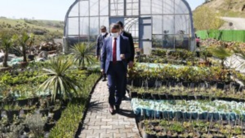 Atakum Belediyesi 2020’de kendi serasında 200 bin adet mevsimlik çiçek ve çalı üretti