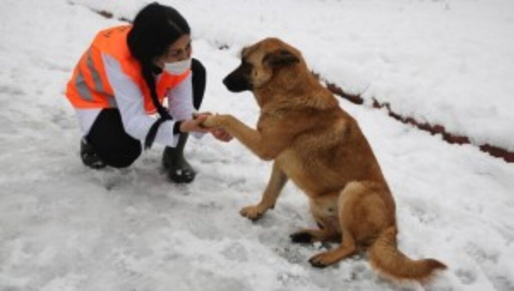 Atakum Belediyesi, kar mücadelesini sürdürüyor