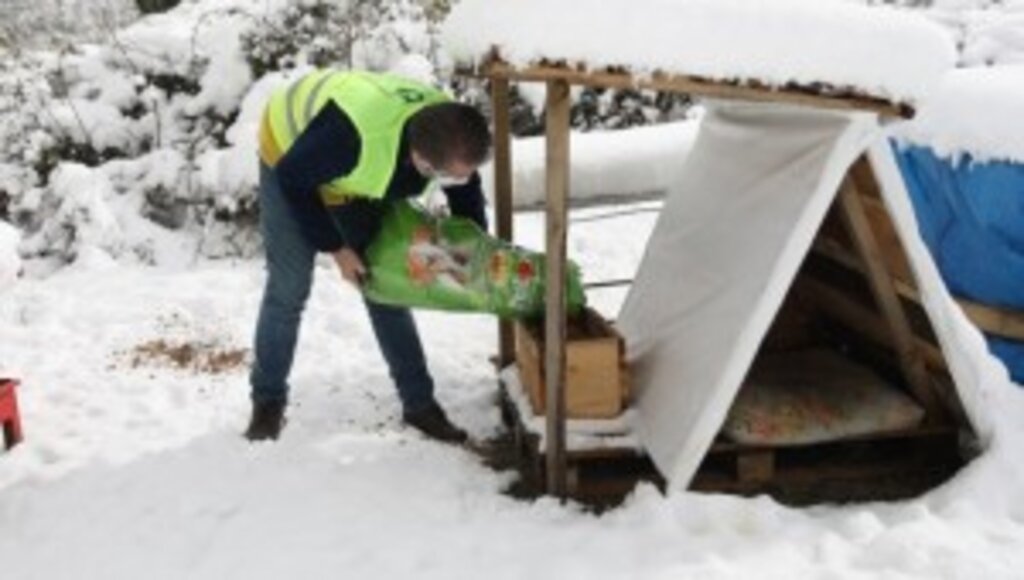 FATSA’DA SOKAK HAYVANLARI YALNIZ DEĞİL