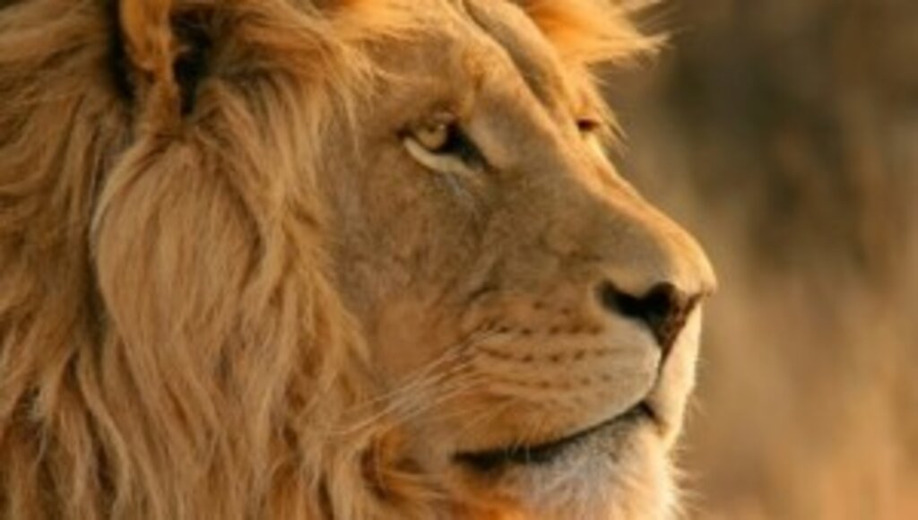 Hayvanat Bahçesi kapılarını ziyarete açıyor