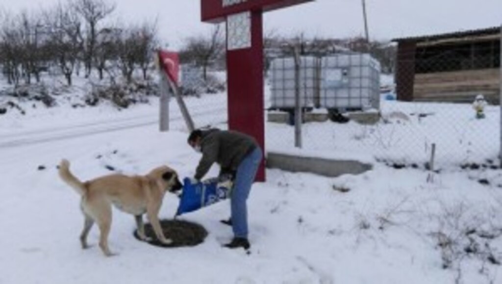 KEÇİÖREN’DE SOKAK HAYVANLARINA KIŞ YİYECEĞİ