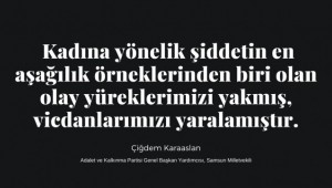 Çiğdem Karaaslan; ''Kadına yönelik şiddetin en aşağılık örneği.''