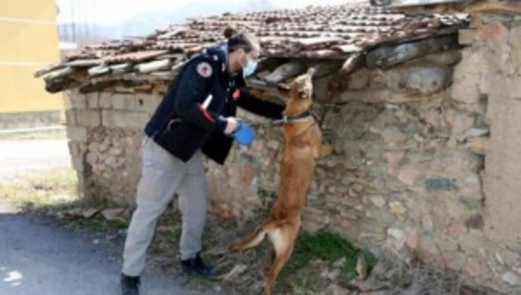 Ülke Genelinde Eş Zamanlı “Huzurlu Sokaklar Ve Narkotik Suçları Uygulaması” Yapıldı