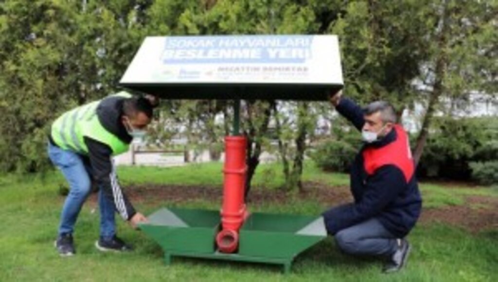 İLKADIM BELEDİYESİ; ”BİZ UNUTMADIK SİZDE UNUTMAYIN “ SLOGANIYLA SOKAK HAYVANLARINA YAŞAM DESTEĞİ OLUYOR