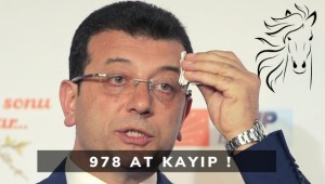 İBB Tarafından Satın Alınan Bin 200 Attan 978 At Kayıp