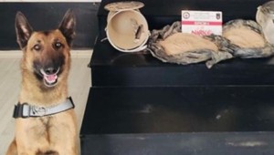 Hakkari bal helkesine gizlenmiş 10 kilo Eroin Yakalandı