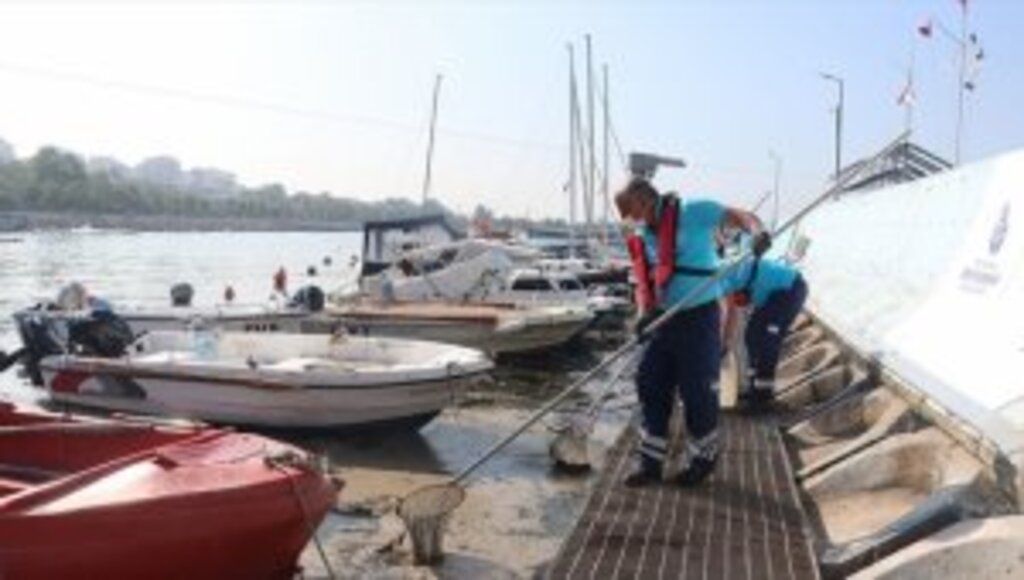 İstanbul'da müsilaj temizleme çalışmaları devam ediyor