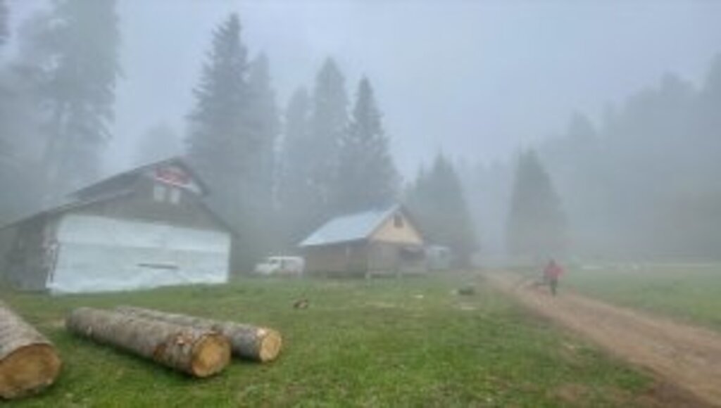 Kademeli normalleşme süreci Karadeniz'i şenlendirdi