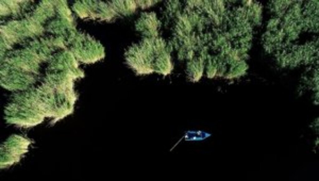 Mavi ile yeşilin buluştuğu Orta Anadolu'nun kuş cenneti ziyaretçilerini ağırlıyor