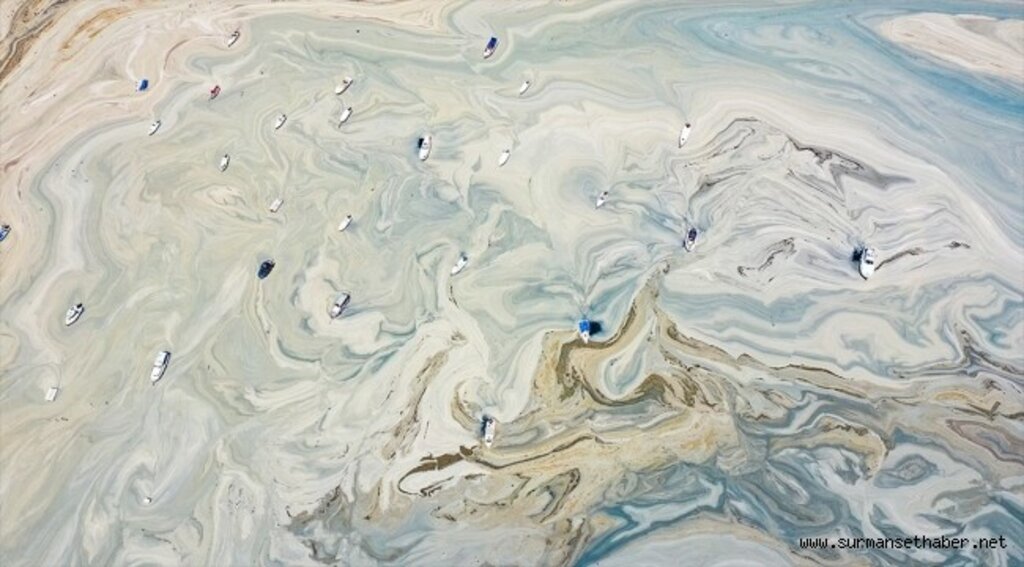 Müsilajdan kurtarmak için oksijen cihazlarından yararlanılacak