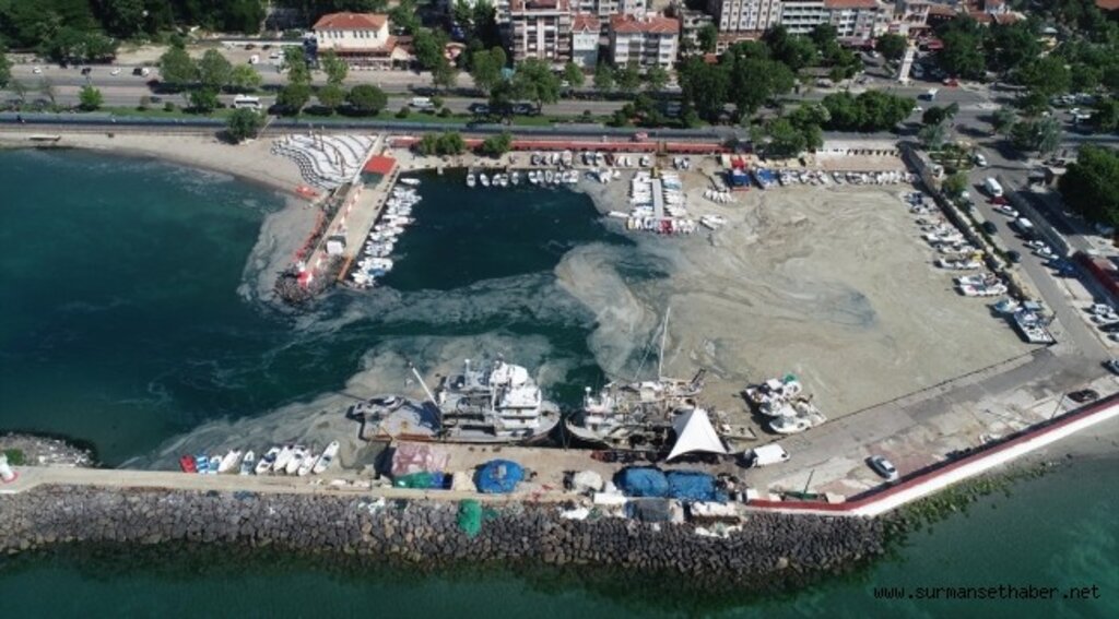 Tekirdağ'da lodos nedeniyle kıyılara müsilaj geri geldi