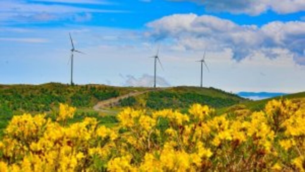 Türkiye'nin enerji haritasında 'yeşil'in payı artıyor