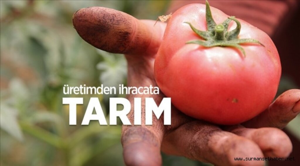 Üretici kırsal kalkınma destekleriyle güçleniyor