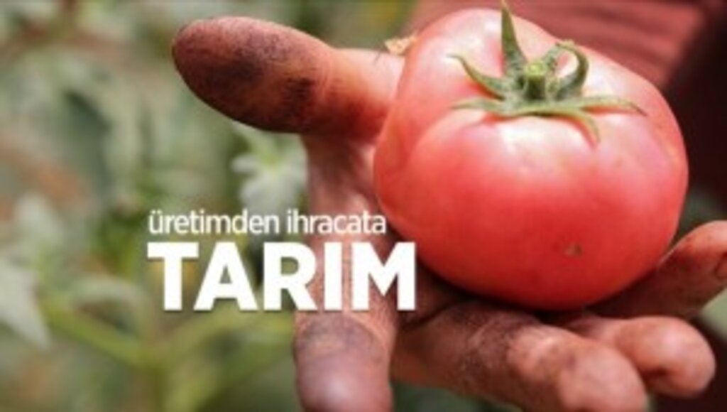 Üretici kırsal kalkınma destekleriyle güçleniyor