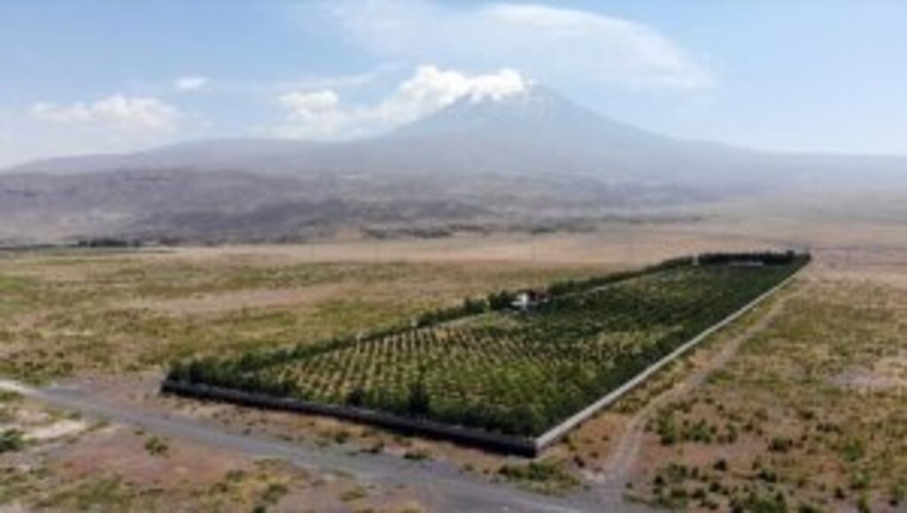 Ağrı Dağı eteklerindeki çorak araziyi vahaya dönüştürdü