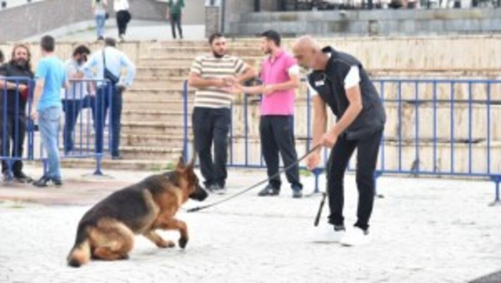 OMÜ Çalışanı ve Öğrencilerine AFAD’dan Temel Köpek Eğitimi