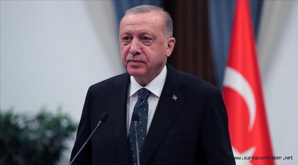 Cumhurbaşkanı Erdoğan: Selin etkili olduğu bölgelerde devlet tüm imkanlarıyla seferber oldu