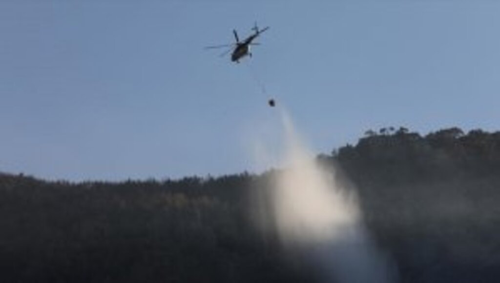 Tarım ve Orman Bakanı Pakdemirli: Muğla'da ve Aydın'daki 3 orman yangını için çalışmalar devam ediyor