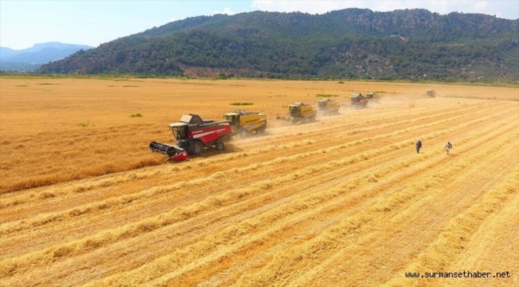 TÜRİB tarımsal ürün endekslerinde işlem hacmi 7,6 milyar lirayı geçti