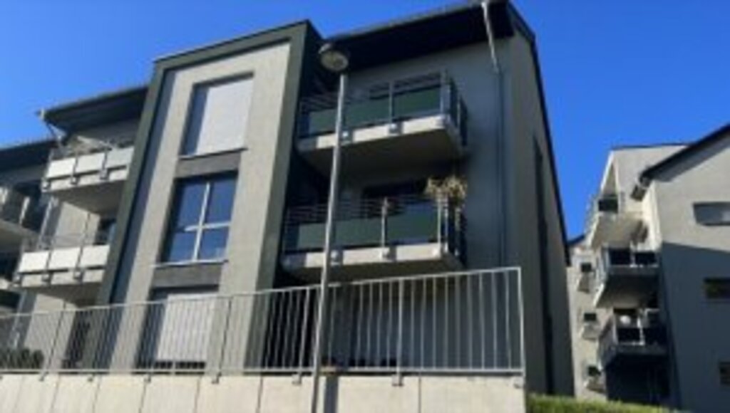 Almanya'da Türklerin oturduğu daireye molotofkokteyli atanlar serbest bırakıldı