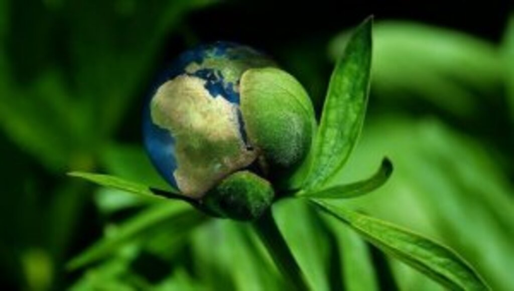 Dünyanın gözü 31 Ekim'de Glasgow'da başlayacak COP26 İklim Zirvesi'nde olacak