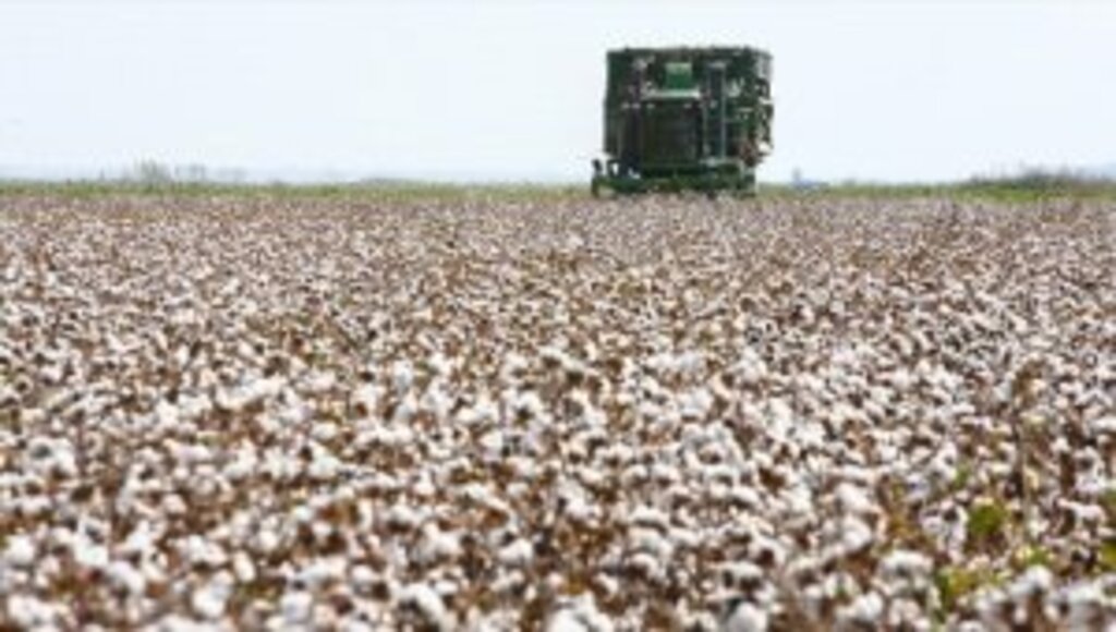 Emtia piyasalarında metallerin performansı dikkati çekerken, pamuk zirve tazeledi