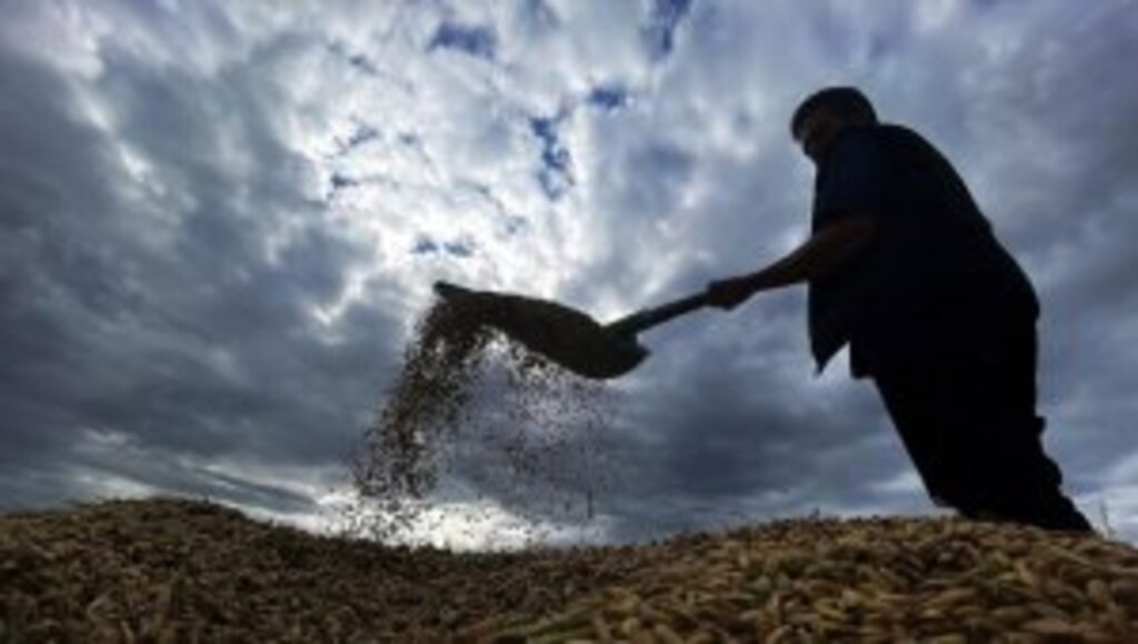 Tarımsal desteklerde vergi iadesiyle 2 milyon çiftçiye yaklaşık 5 milyar lira ödenmesi bekleniyor