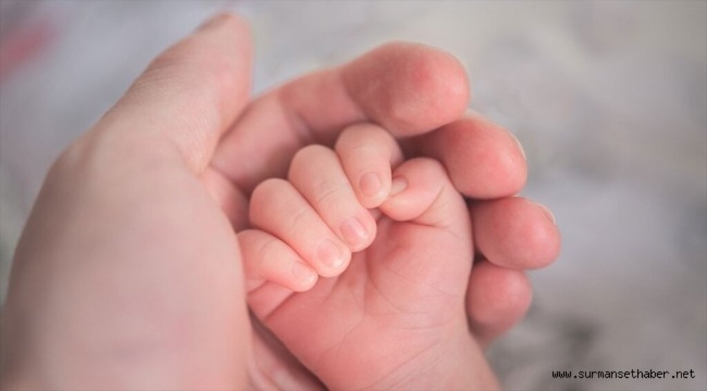 Bebek özlemi çeken çiftlere 'kemik iliği' umut olacak