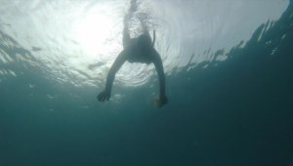 Akdeniz'de artan mikroplastikler hem deniz canlılarını hem insanları tehdit ediyor 