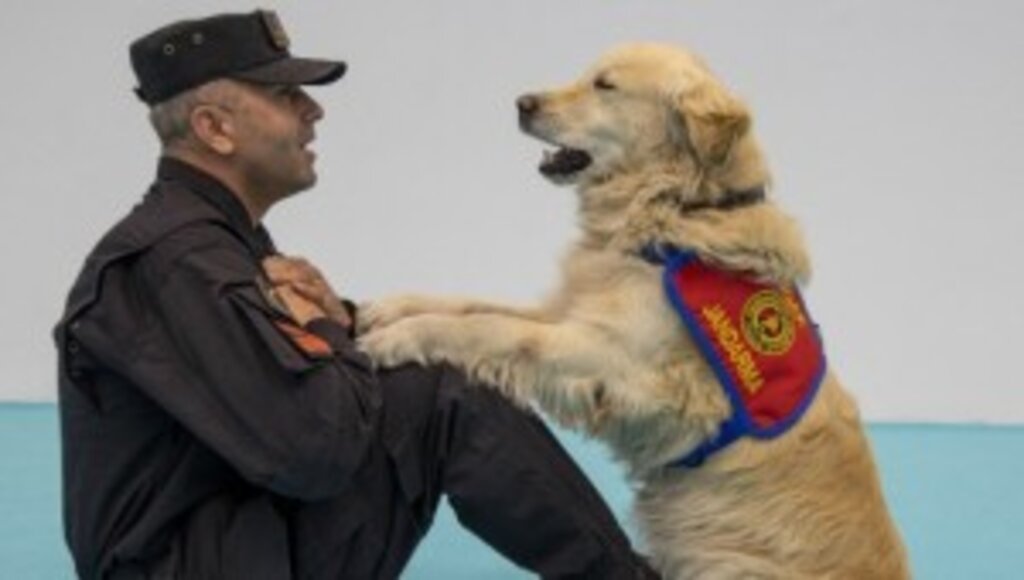 Elazığ Depreminin Kahraman Köpeği 'Olgun' Ankara'daki Tanıtım Günlerinde Marifetlerini Sergiledi