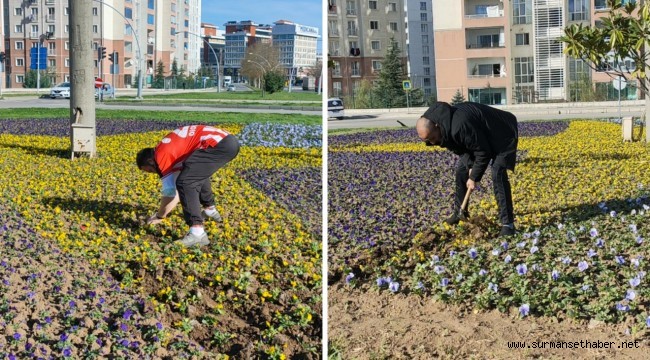 Samsun'da Vatandaşlar O Yıldızı Dağıttı!