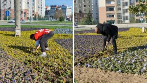 Samsun'da Vatandaşlar O Yıldızı Dağıttı!