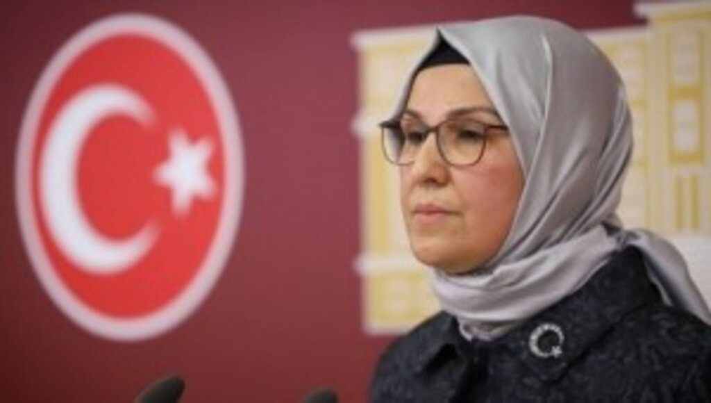 AK Parti Milletvekili Katırcıoğlu'ndan CHP'li Tarhan'a Çağrı ''Hodri Meydan''