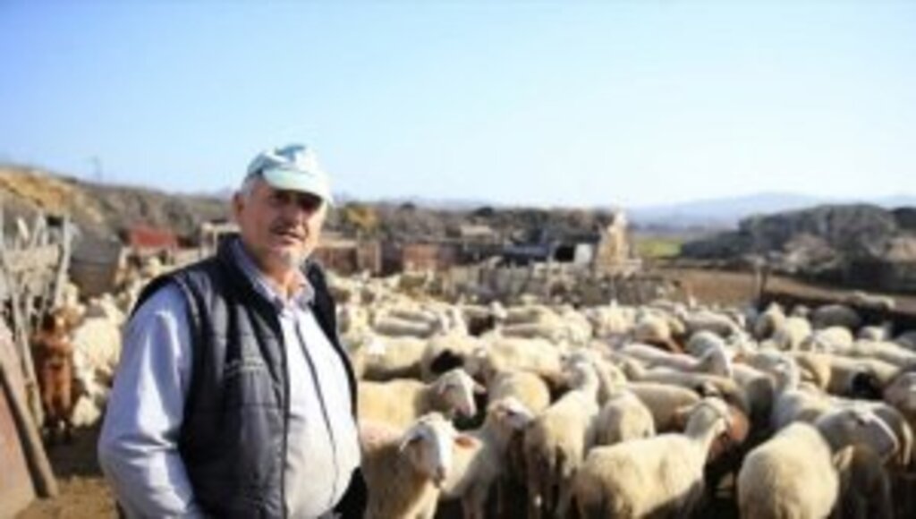 Gübre ve yem fiyatlarındaki indirim üreticileri sevindirdi