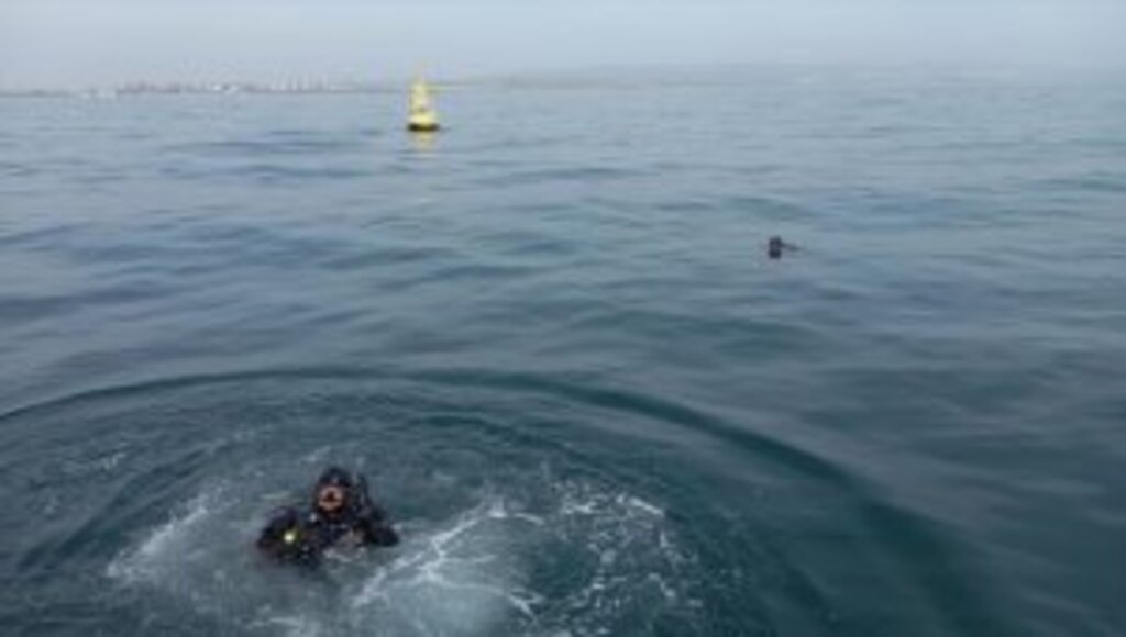 Hayalet ağ temizliği devam ediyor 