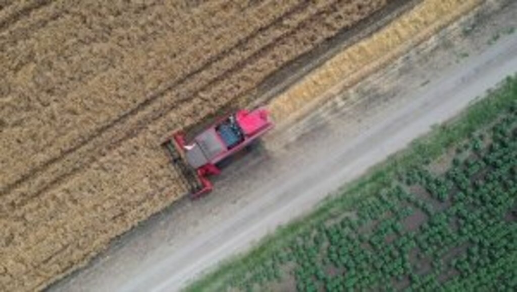 Rusya-Ukrayna gerginliği nedeniyle Türkiye'nin buğday arzında sıkıntı beklenmiyor