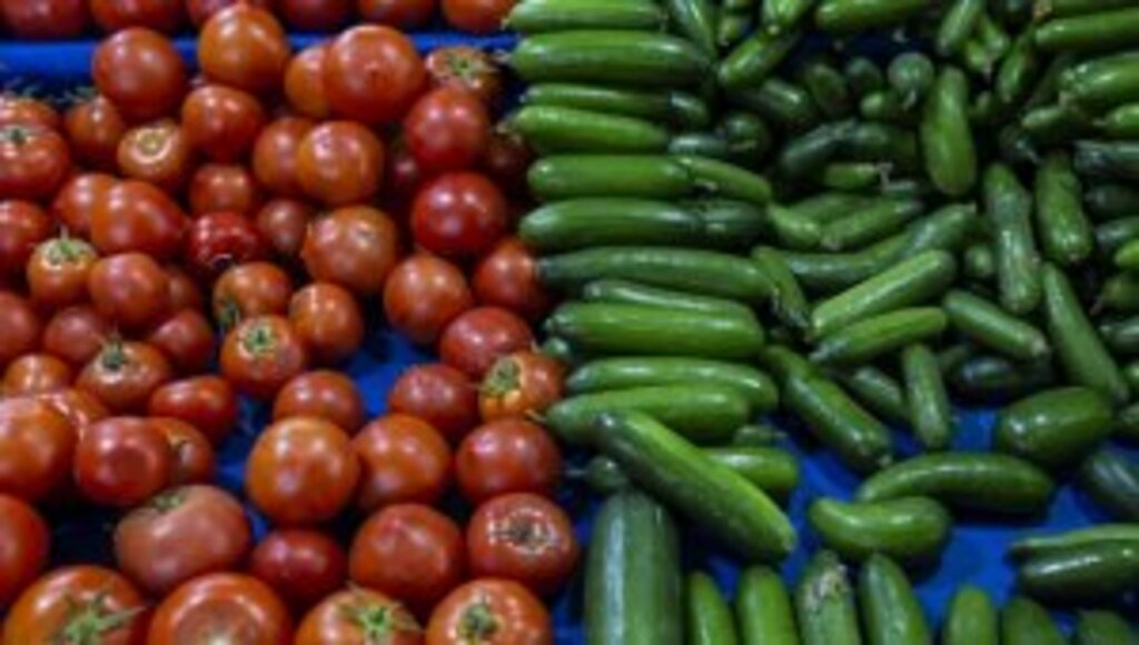Rusya ve Ukrayna savaşı domates, biber ve salatalık fiyatını yüzde 30 düşürdü