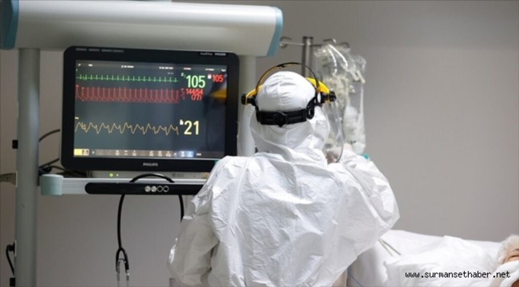 Türkiye'de bugün Kovid-19'dan 241 kişi hayatını kaybetti