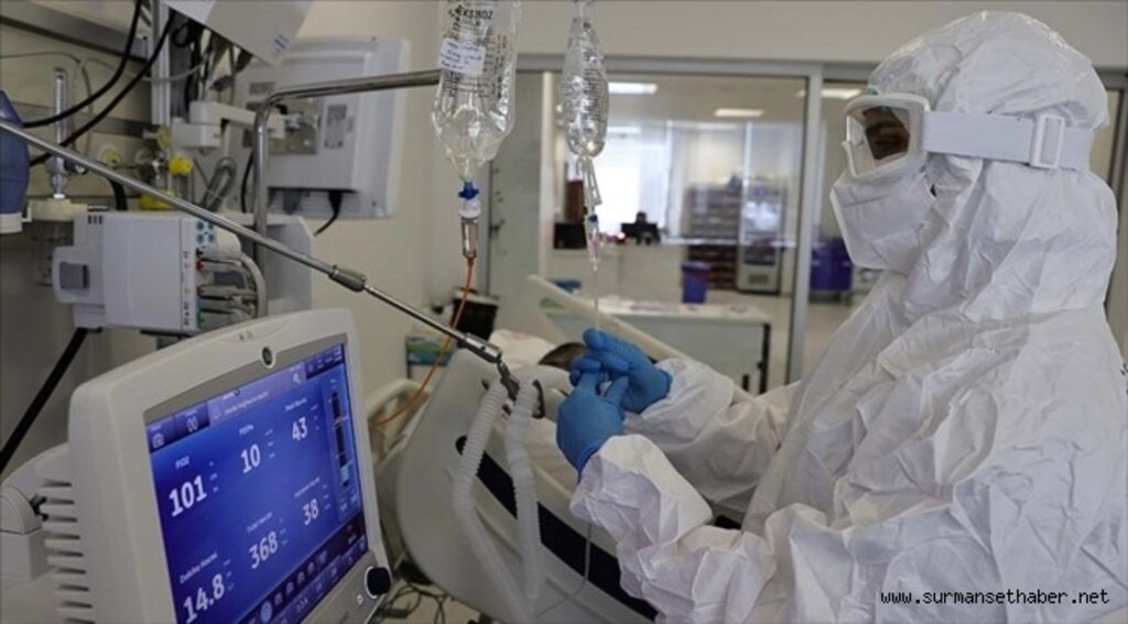 Türkiye'de dün Kovid-19'dan 248 kişi yaşamını yitirdi