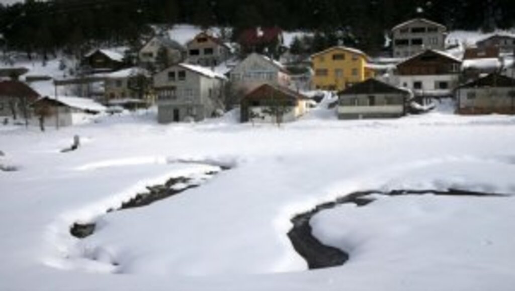 Yeşille beyazı buluşturan Eğriçimen Yaylası doğaseverlerin gözdesi