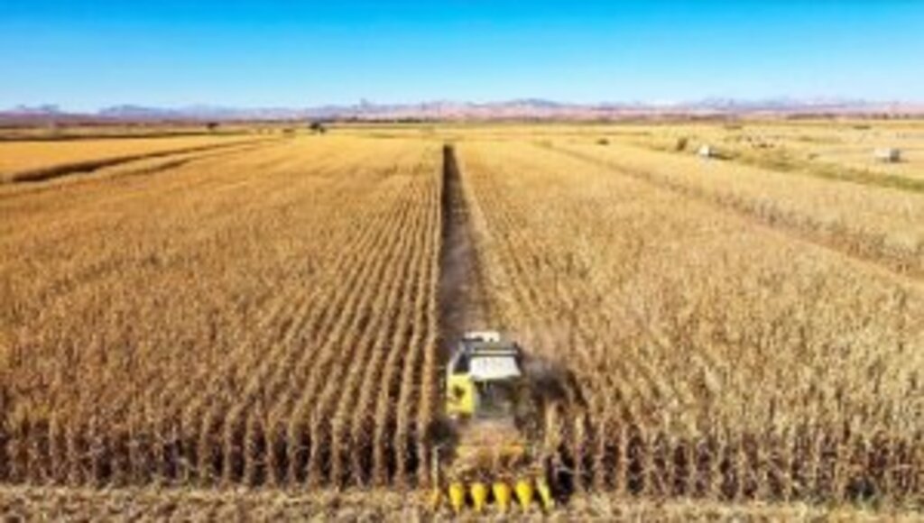 Tarım ihracatı 6 sektörle rekora koştu