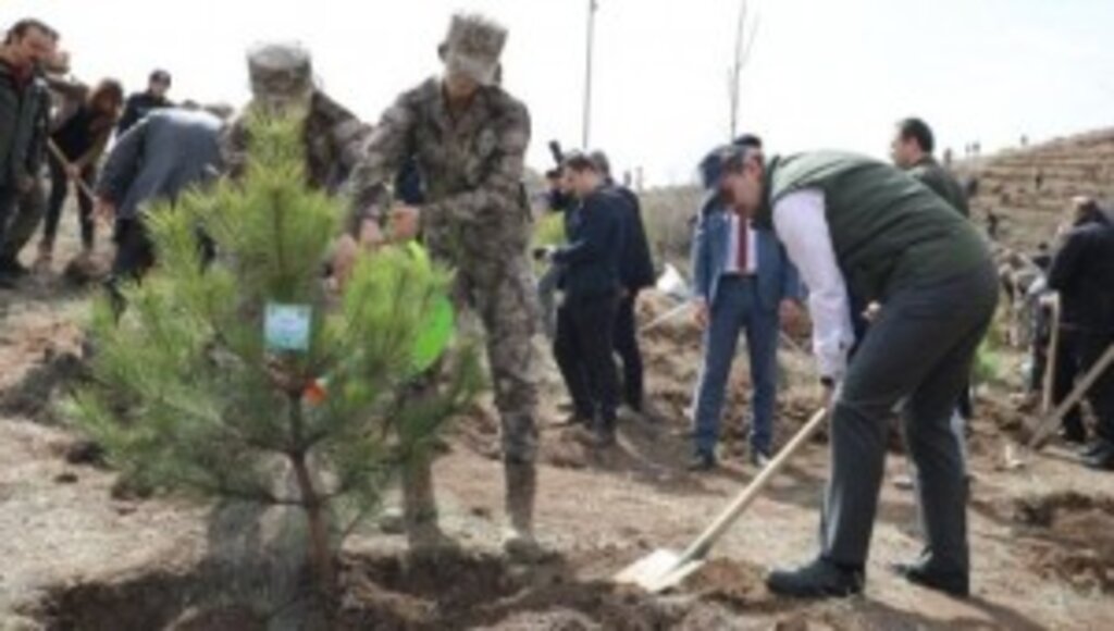 Sivas'ta Polis Hatıra Ormanı'na Fidan Dikildi