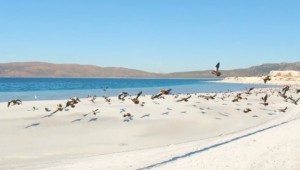 BAKAN MURAT KURUM’DAN SALDA GÖLÜ PAYLAŞIMI