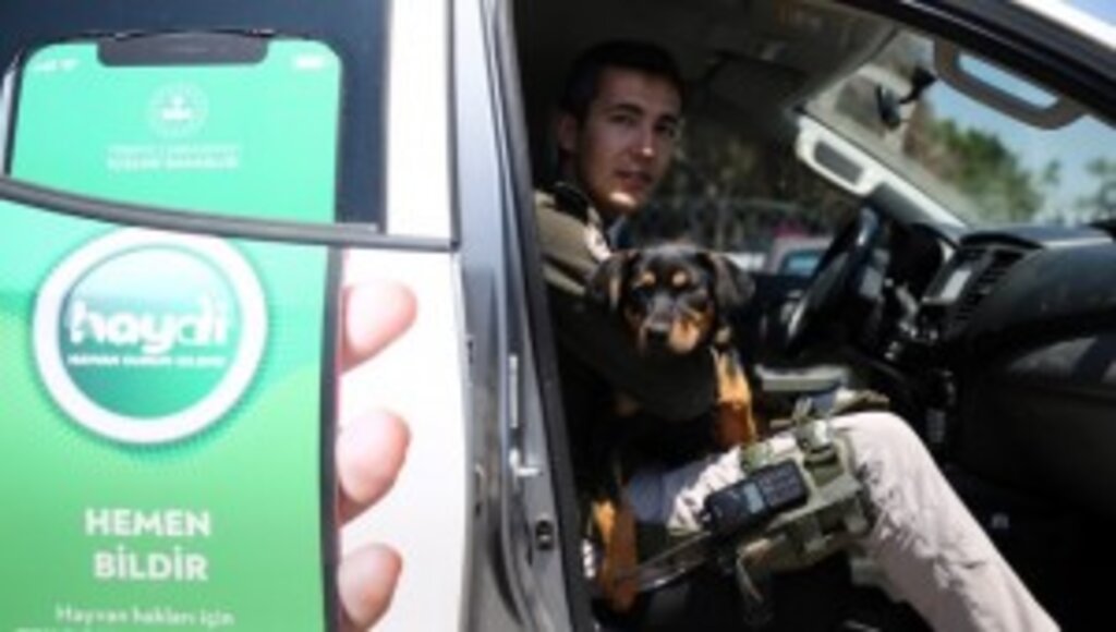 İşkence Edilip Damdan Atılan Köpek Yavrusu 'Emin Ellerde'