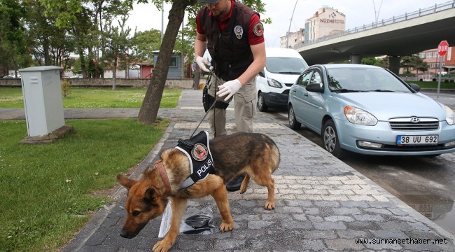 Kayseri'de İz Takip Köpeği 