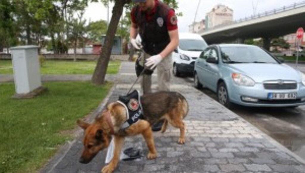 Kayseri'de İz Takip Köpeği 